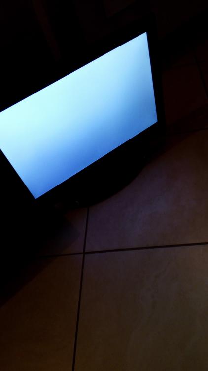IMG-20210416-WA0005.jpeg