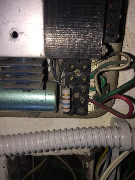 ALIMENTATORE 2.JPG