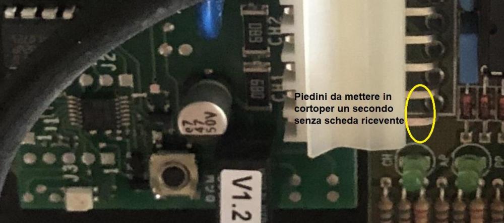 1188328372_SchedaBenincconpiedinidamettereincordo.thumb.jpg.f0158458d480ed01ec8cb9dd53fd0889.jpg