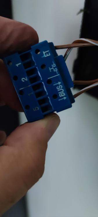 1632815406030.jpg