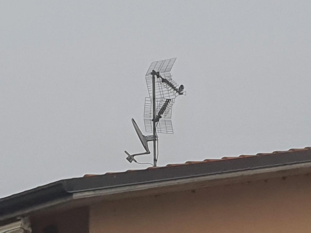 antenna.jpeg