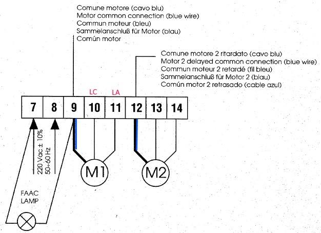 Problema lampeggiante Faac XLed su scheda Faac 402 MPS - Cancelli