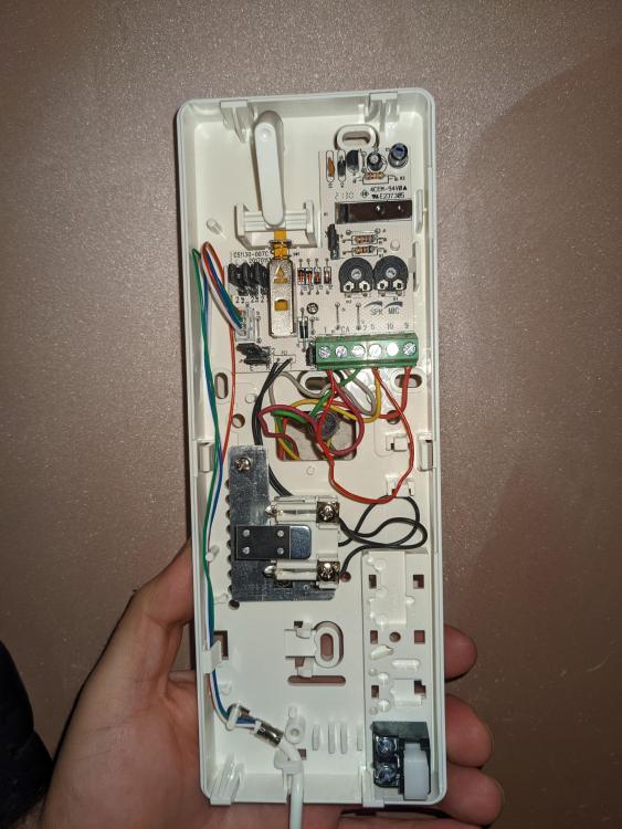 PXL_20220303_143614646.jpg