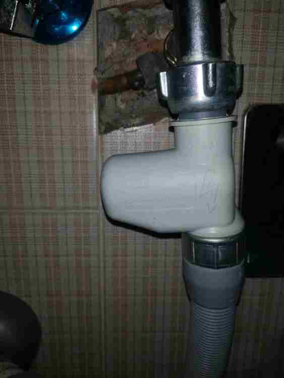 IMG_20220826_080342_BURST001_COVER.jpg