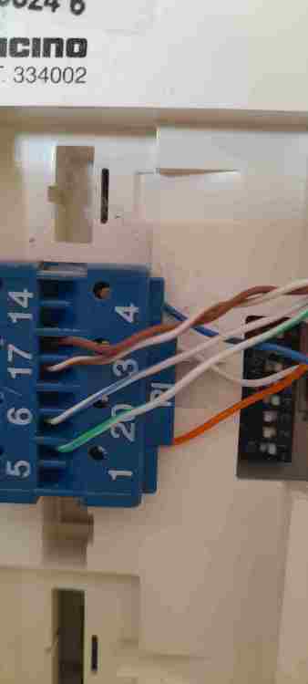 20220906_144155.jpg