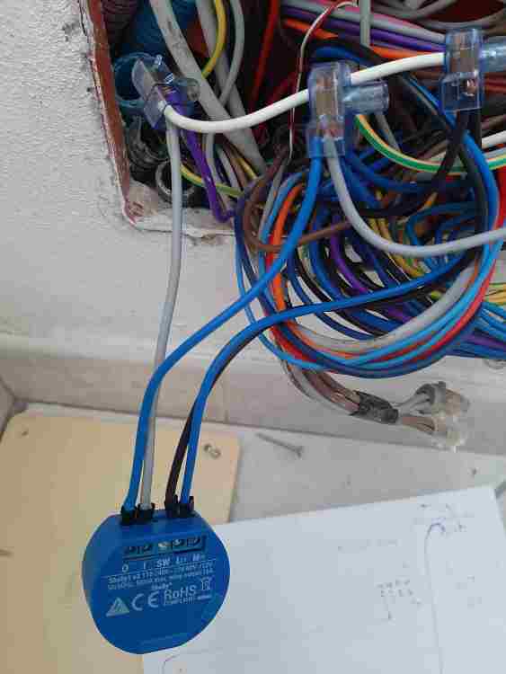 20221028_131115.jpg