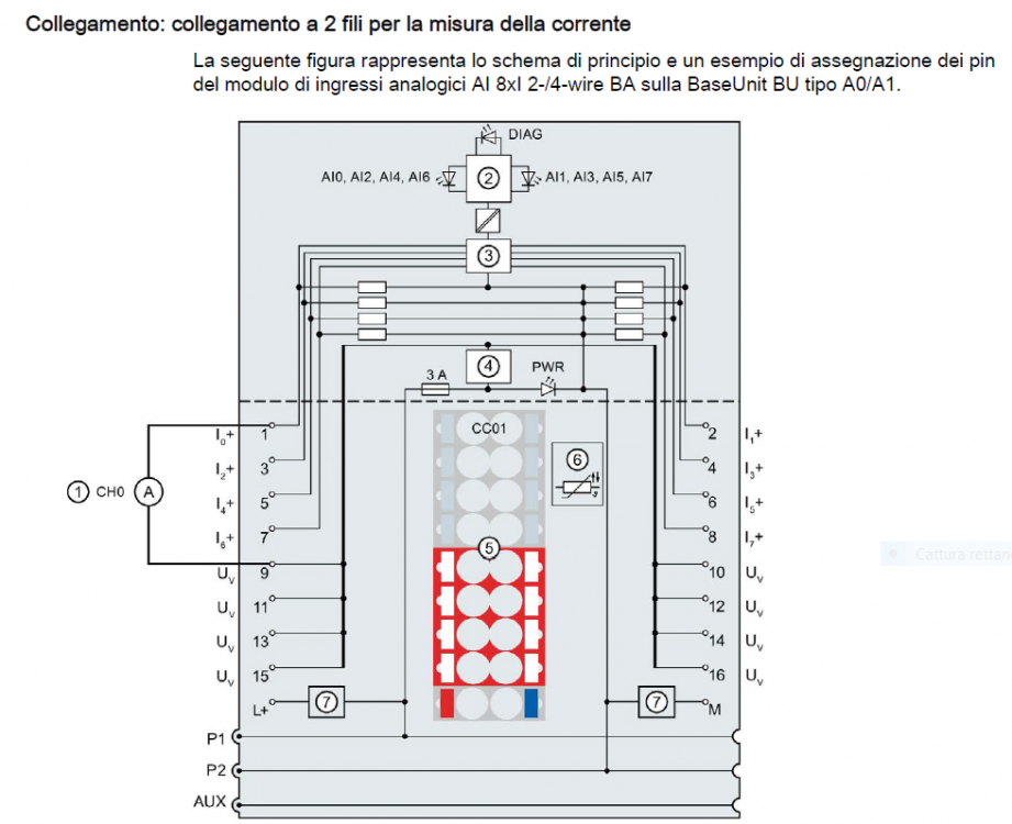 Manuale.PNG