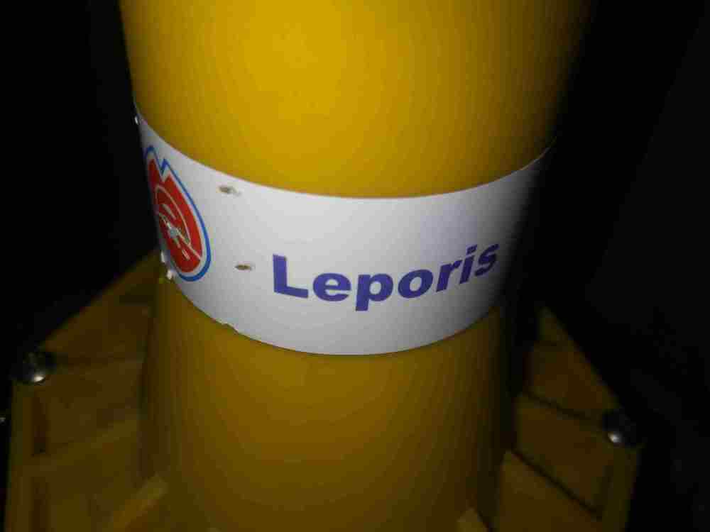 20230307_135454.jpg