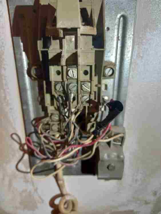 image.thumb.jpeg.9ea889358783ebfb99a022cb2cf6b9f3.jpeg