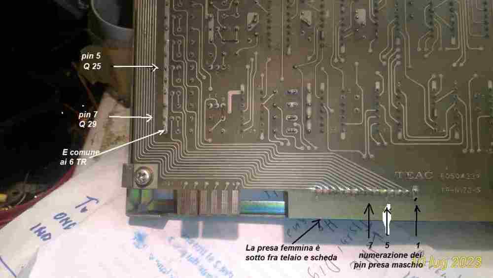 scheda J10 female con freccie.jpg