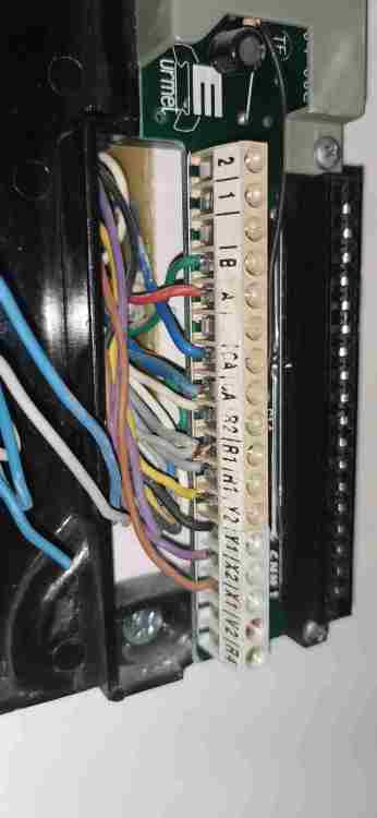 IMG_20230730_175840.jpg