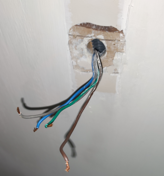 image.thumb.png.403871576ad46e3207a368b2468d8840.png