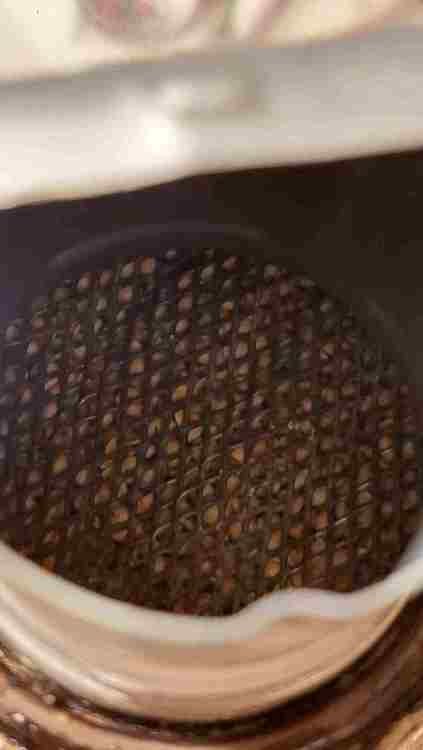 WhatsApp Image 2024-06-21 at 09.31.48.jpeg