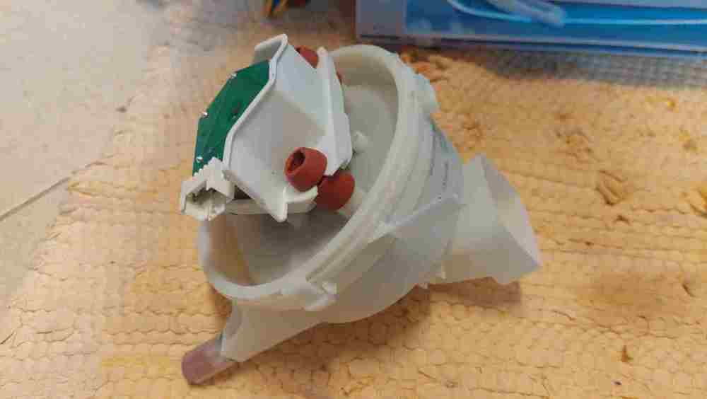 WhatsApp Image 2024-06-25 at 10.18.16.jpeg