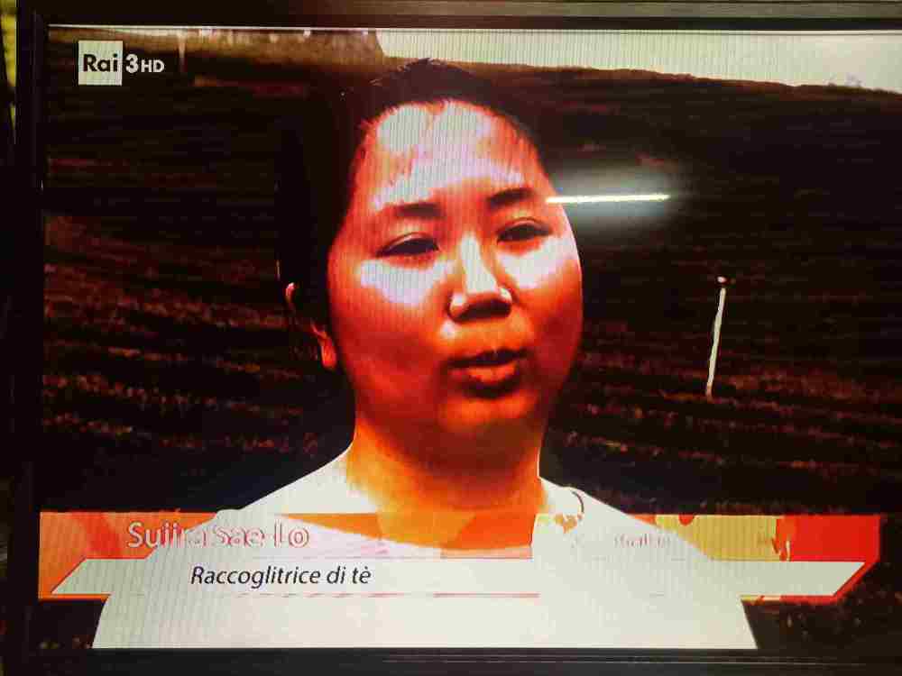 WhatsAppImage2024-06-26at19_16.48(3).thumb.jpeg.cdaa18a1a0f071d8ff91b04b4e71718b.jpeg
