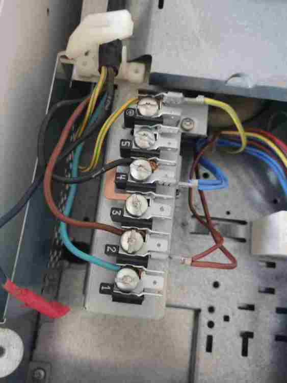 miele(Large).thumb.jpg.75f1bf0c4fac6f99515dcea8a3207eae.jpg