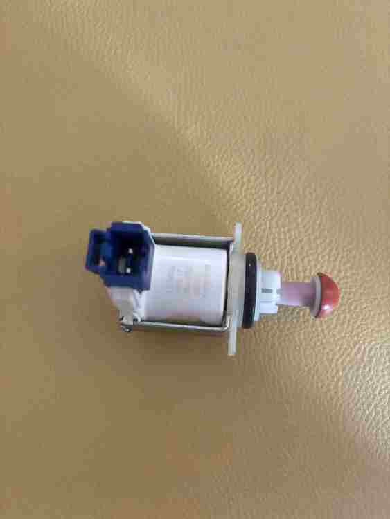 IMG_4317.jpeg