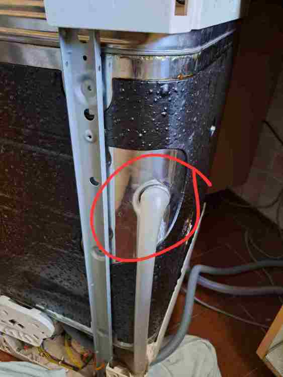 WhatsApp Image 2024-11-06 at 08.52.59.jpeg