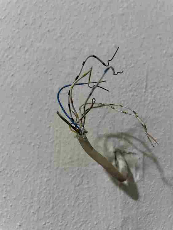 IMG_2024.jpeg