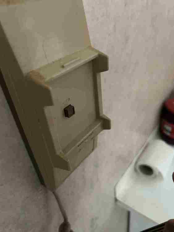 IMG_2185.jpeg