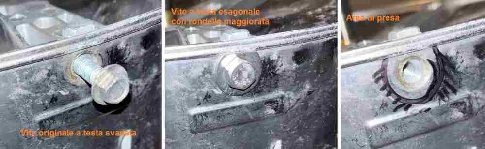 VITI_CESTELLO_13022025.jpg