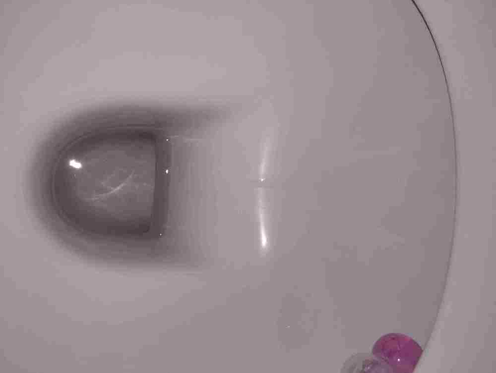 IMG_20250307_105212524.thumb.jpg.403346a41da4b7745b1f1b8332a107fd.jpg