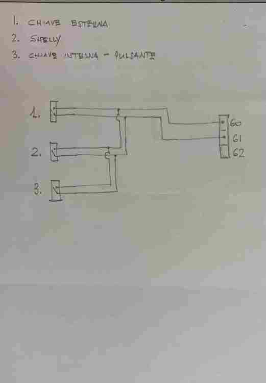 IMG_2275.jpeg