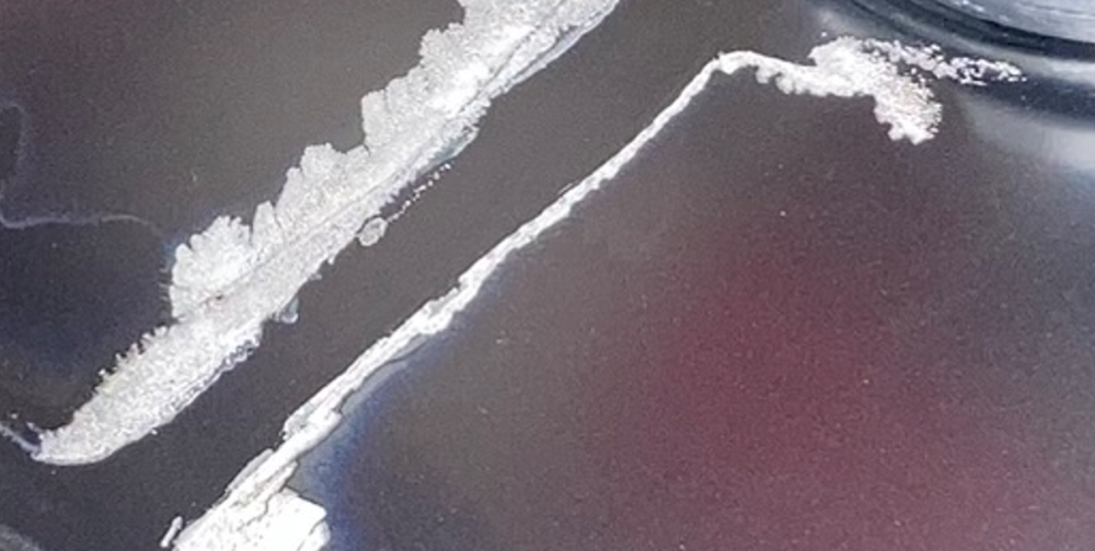 image.thumb.png.321b644dbe92c60ac7e739ee850f050a.png