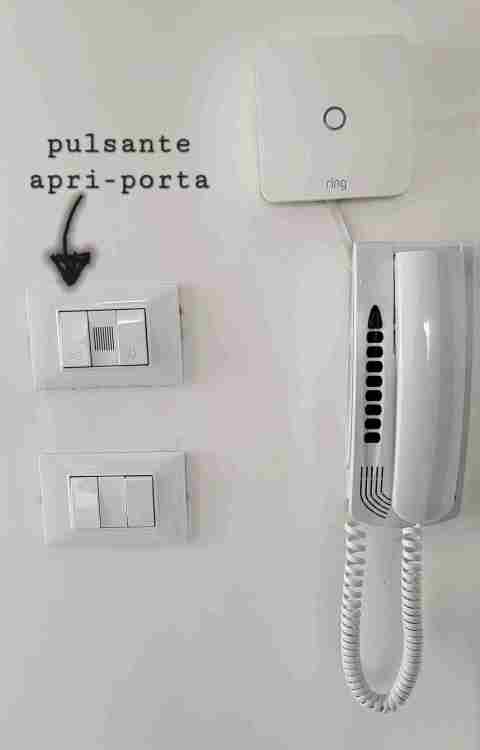 20250411_183235.jpg