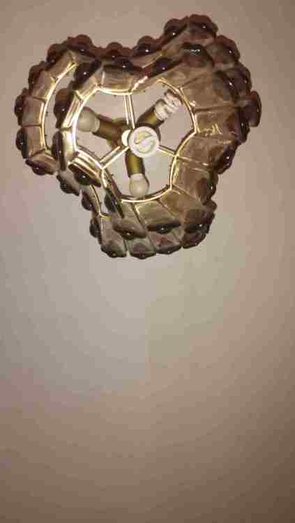 IMG-20230821-WA0010.jpg