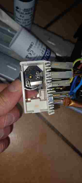 IMG20250427085756.jpg