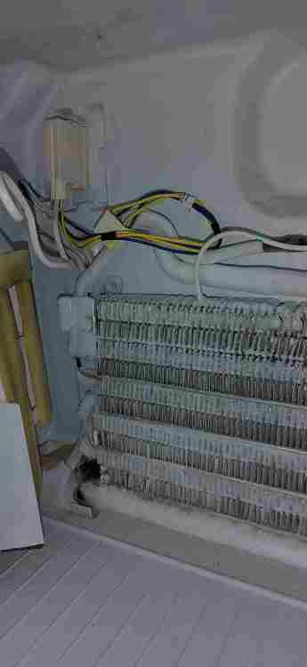 IMG_20250402_160610.jpg