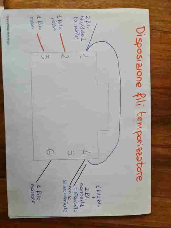 WhatsApp Image 2025-04-25 at 09.30.49 (1).jpeg
