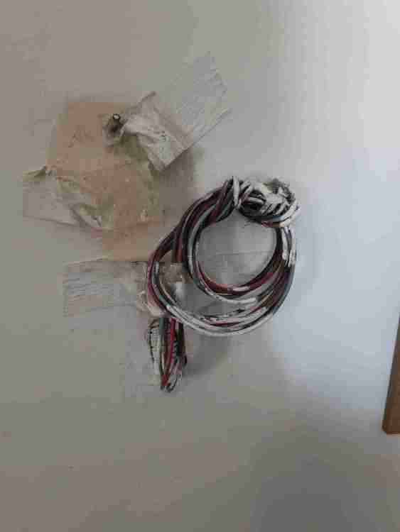 IMG-20250508-WA0004.thumb.jpg.c55dbe34336d488b2549afe92f039a9d.jpg