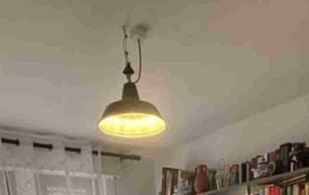 IMG_3425.jpeg