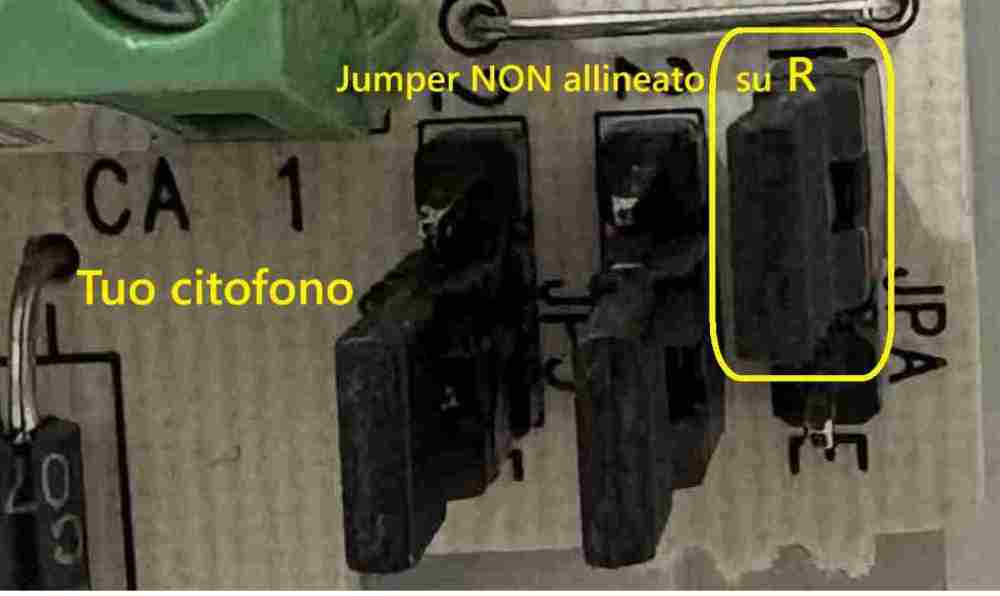 1133-15conJPAnonallineatosuR.thumb.jpg.669a156ec74c25ebe2cb1655f5d8033f.jpg