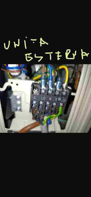 IMG_1589.jpeg