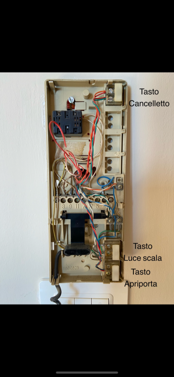 IMG_8599.png