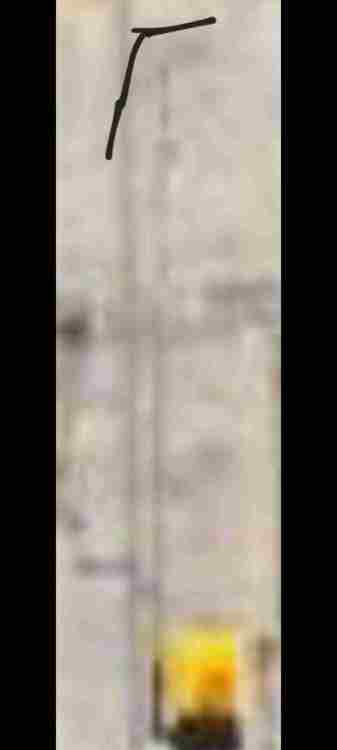 Screenshot_20250625_111057_Gallery.jpg