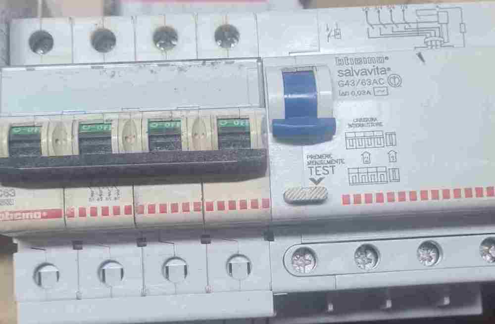 Snap33333372.jpg