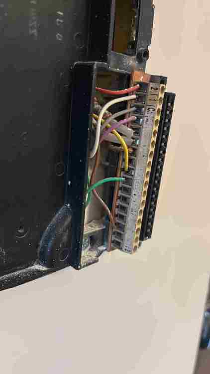E96AD236-EA1B-46FD-AB20-66905C37A149.jpeg