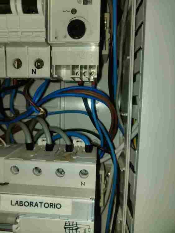 WhatsApp Image 2025-07-14 at 13.39.40.jpeg