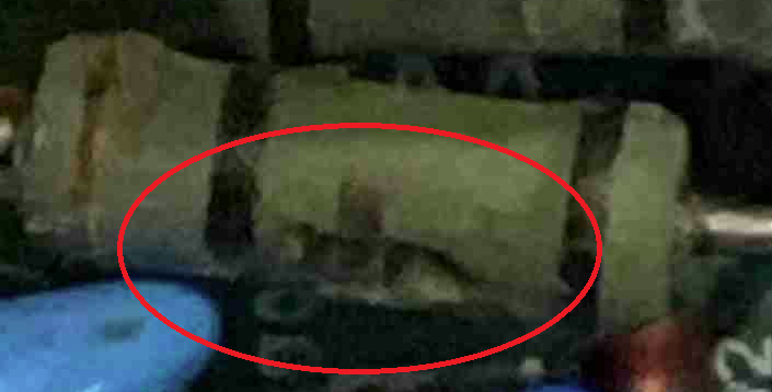 image.png.f48a3ab2dc526261b1d67c0cf379e587.png