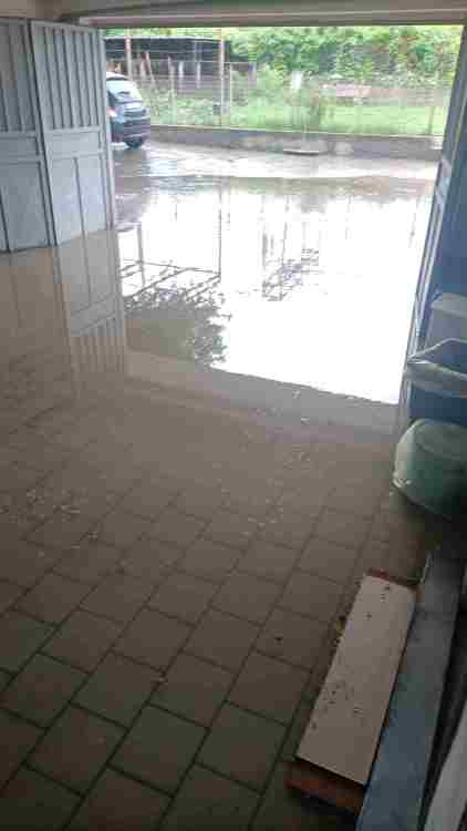IMG-20250830-WA0004.jpeg