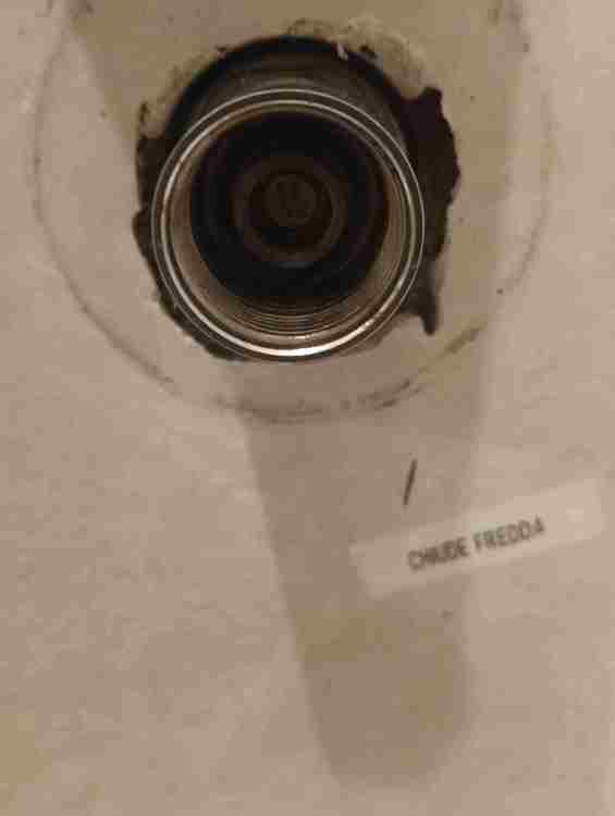 IMG20251011203005.jpg