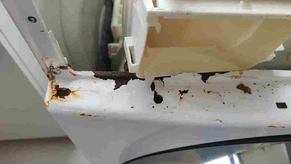 WhatsApp Image 2025-10-30 at 09.11.32.jpeg