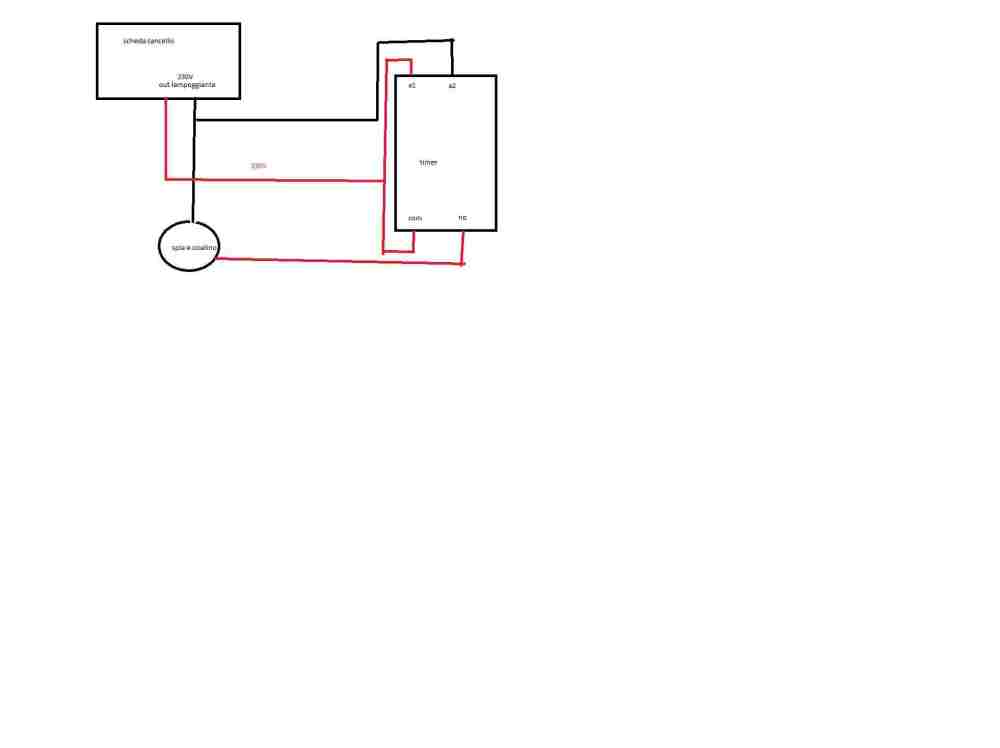 schema cicalino.jpg