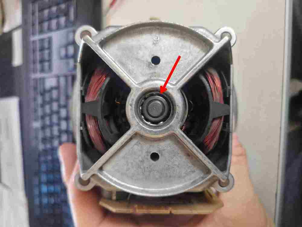 20251025_122654 cuscinetto.jpg