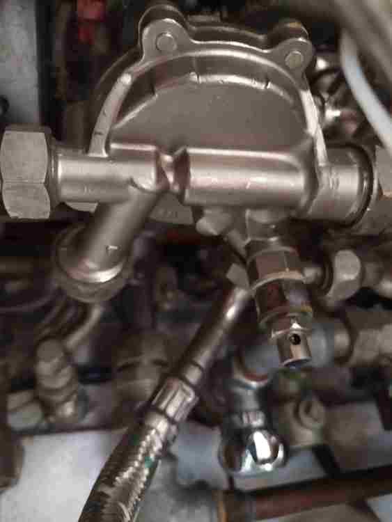 3.jpg.74986bafc0704cb36bc939ffe9a8dda8 modifica per gruppo.jpg