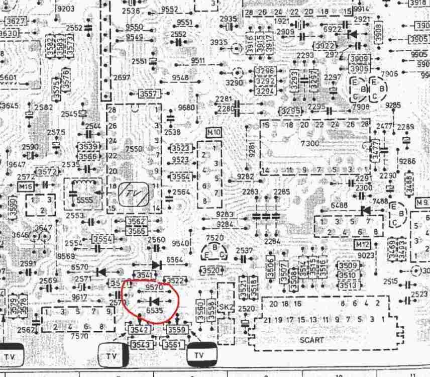 Immagine 2025-11-13 083908.jpg